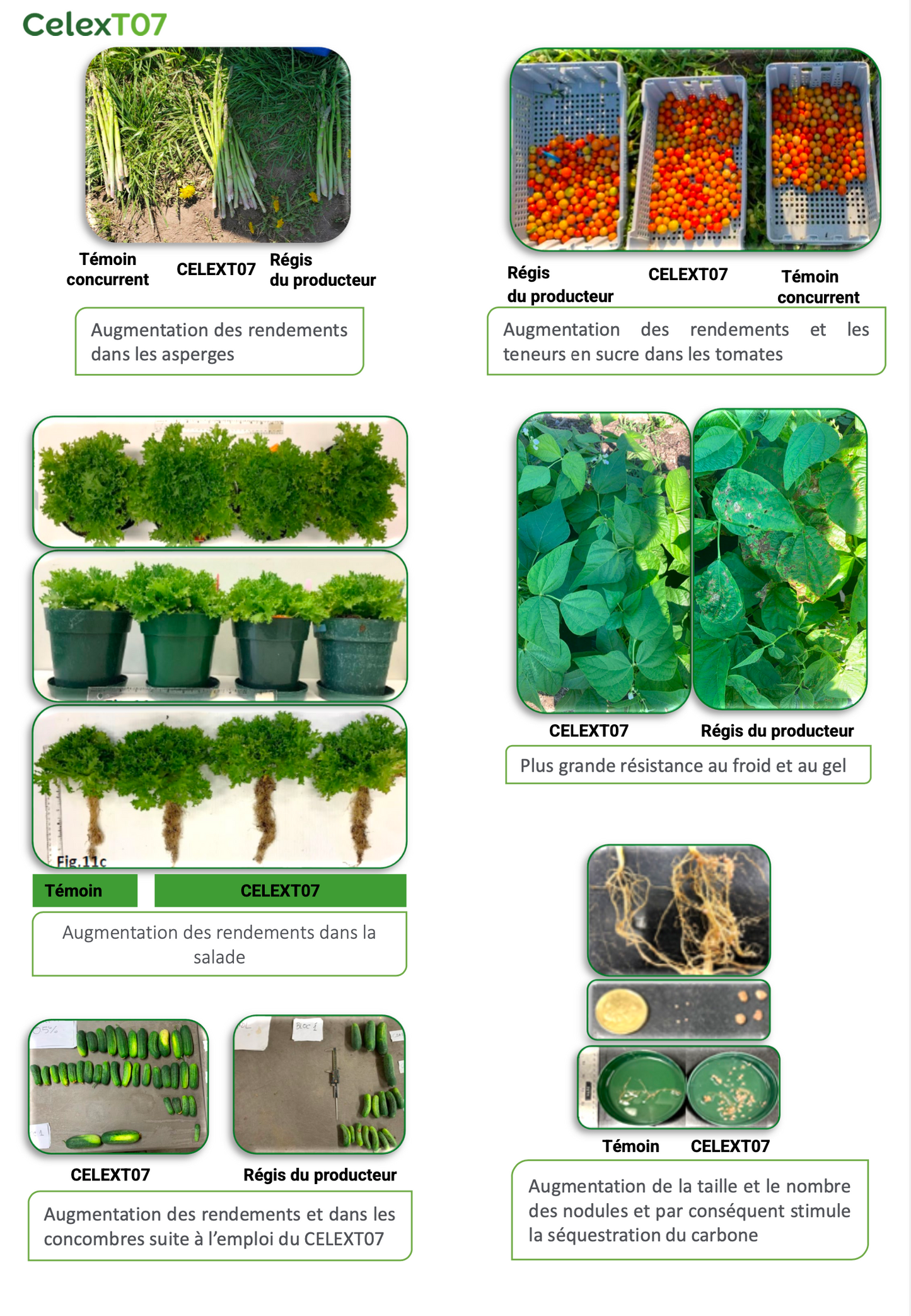 Celext07 Biostimulant